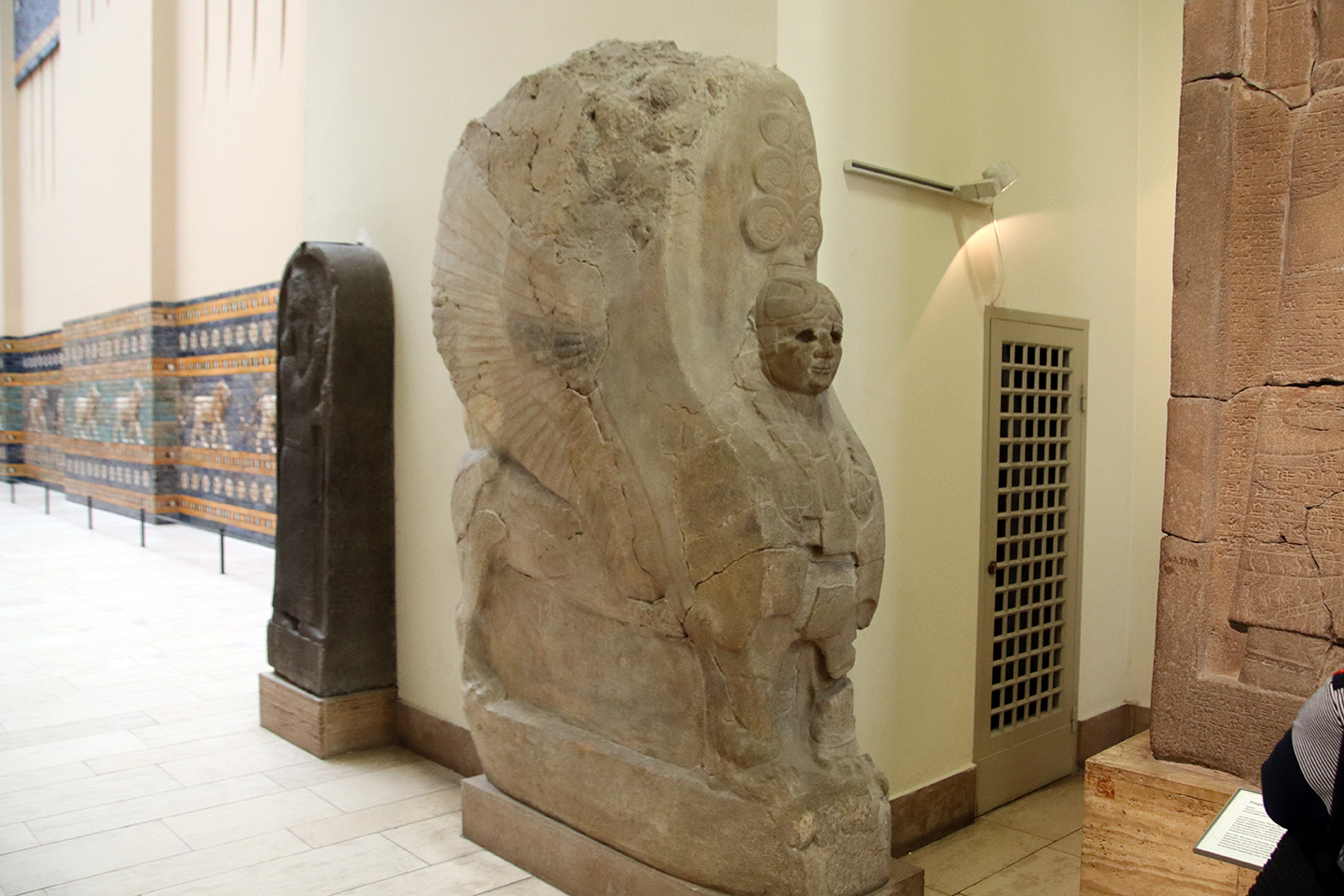 IMG_9687_1440x960