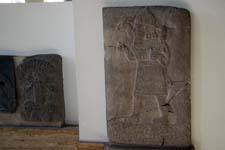 IMG_9586_1440x960