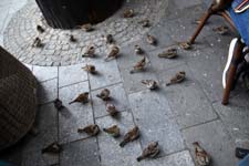 IMG_9859_1440x960