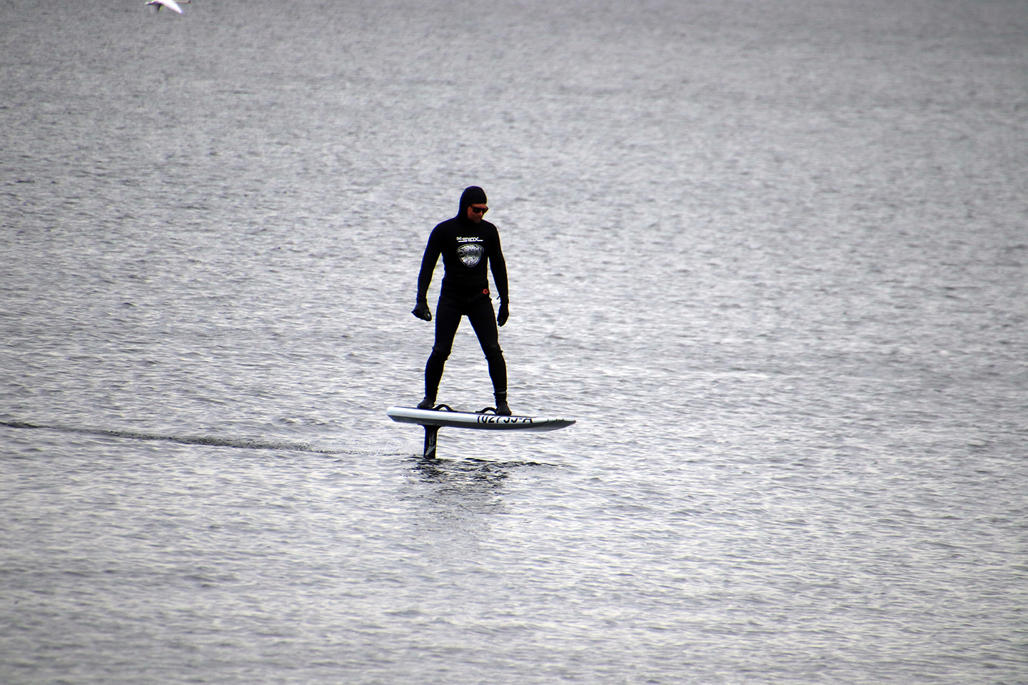 IMG_0293_1440x960
