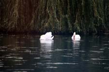 IMG_0171_1440x960