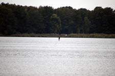 IMG_0267_1440x960
