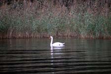 IMG_0271_1440x960