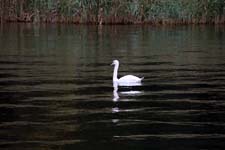 IMG_0272_1440x960