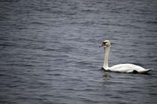 IMG_0320_1440x960