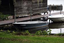 IMG_0442_1440x960