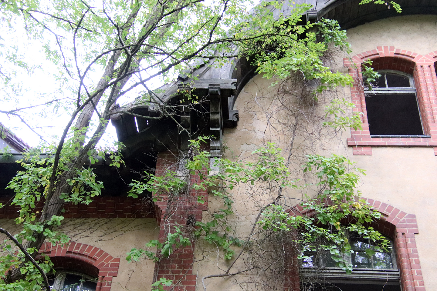 IMG_0520_1440x960