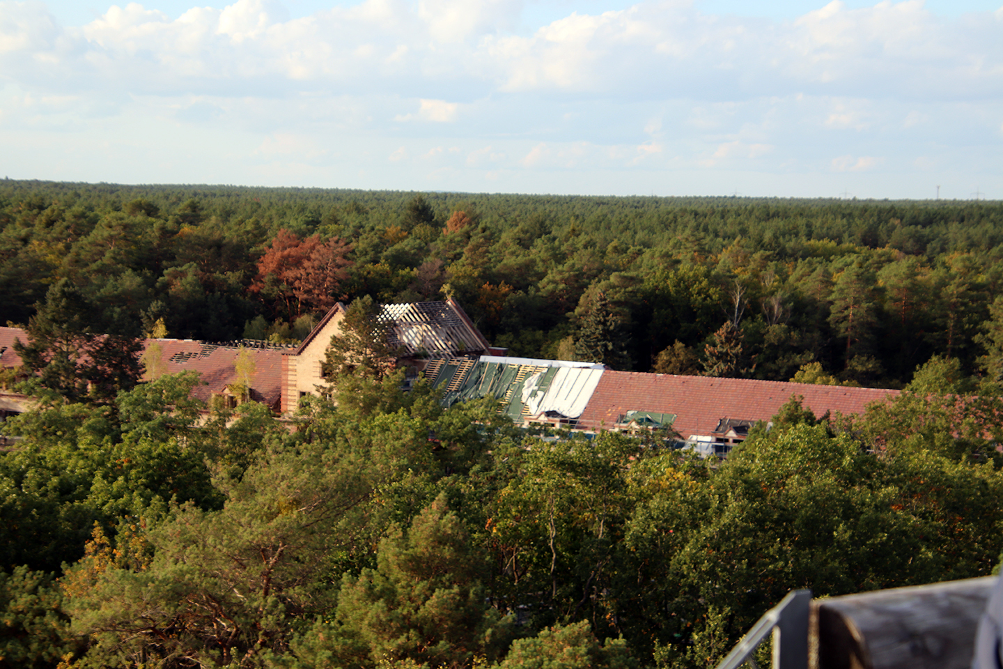 IMG_0687_1440x960