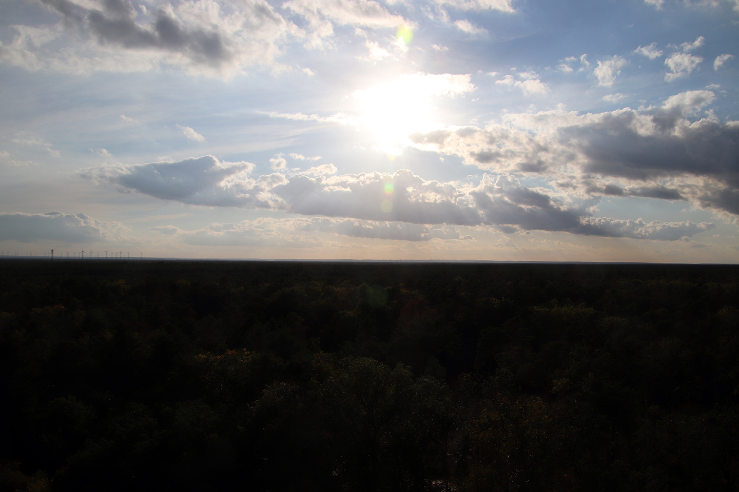 IMG_0695_1440x960