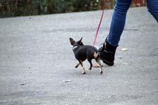 IMG_0475_1440x960