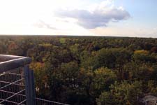 IMG_0691_1440x960