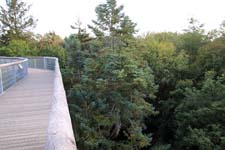 IMG_0733_1440x960