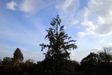 IMG_0752_1440x960