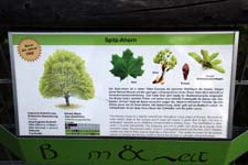 IMG_0767_1440x960