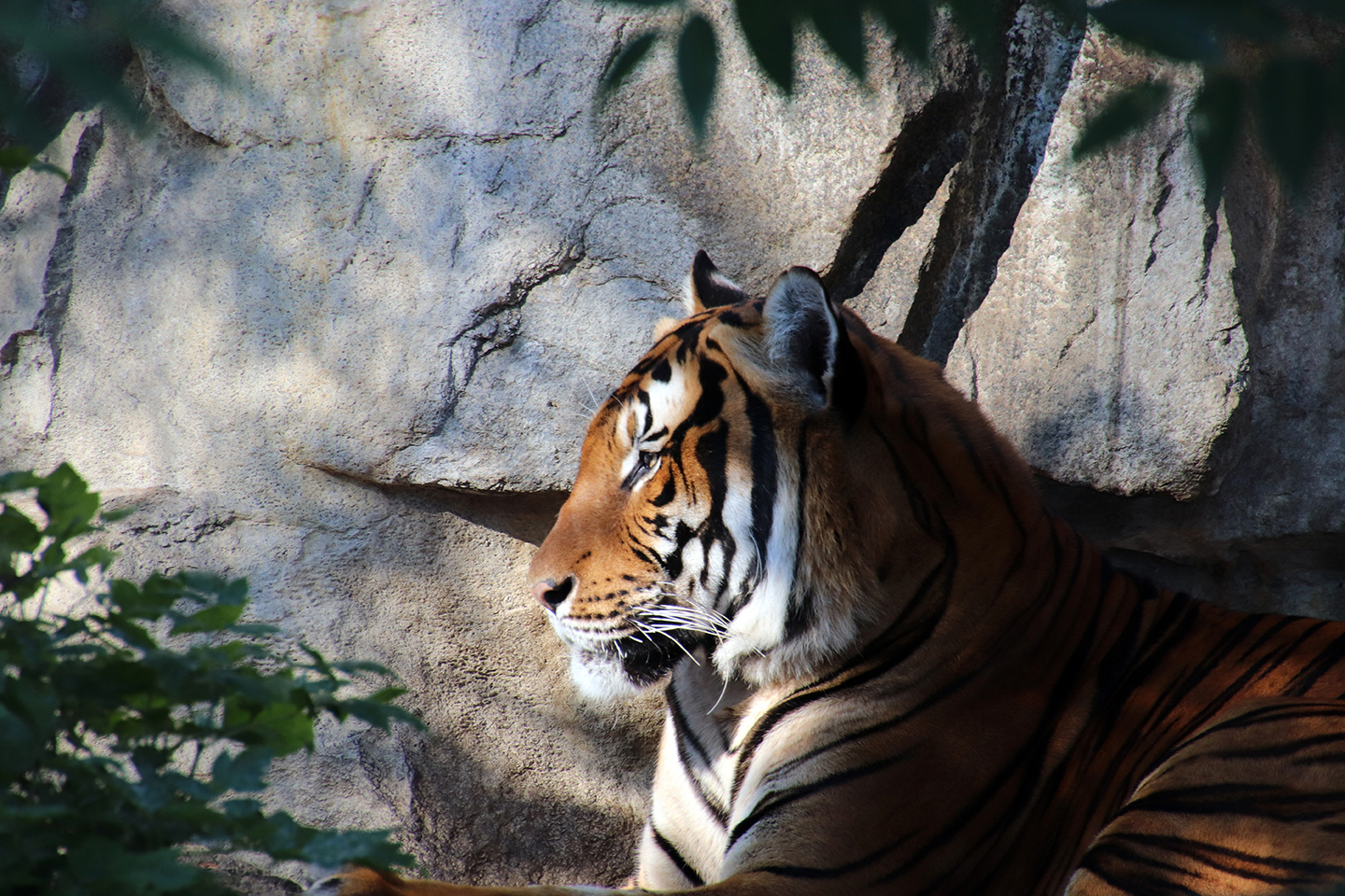 IMG_1300_1440x960