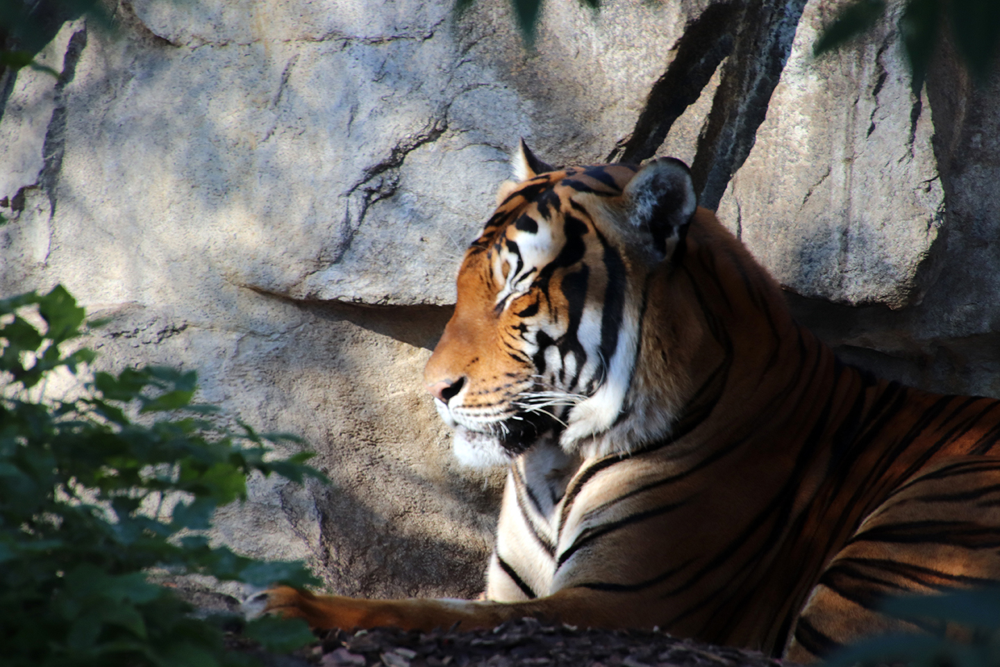 IMG_1301_1440x960