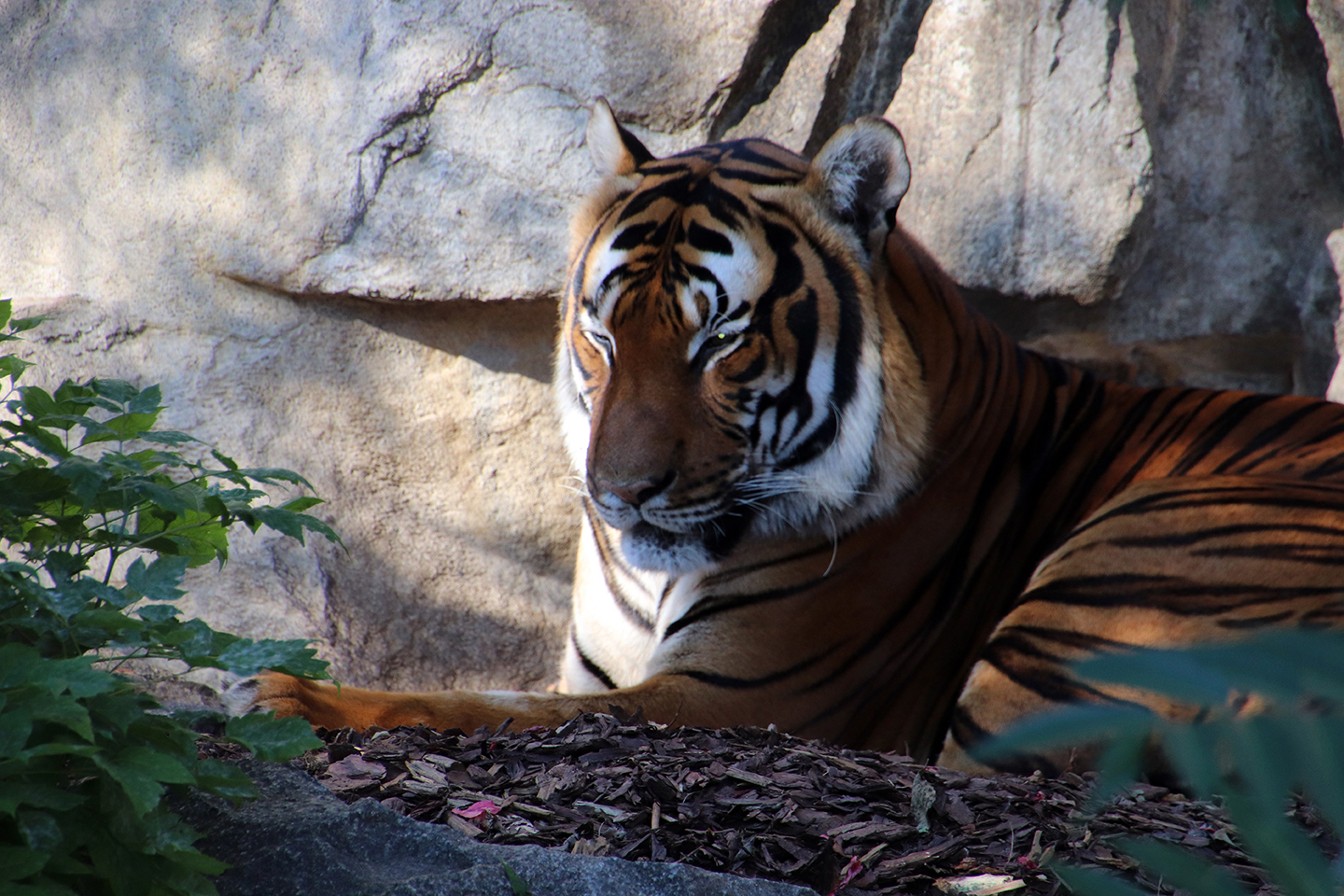IMG_1302_1440x960