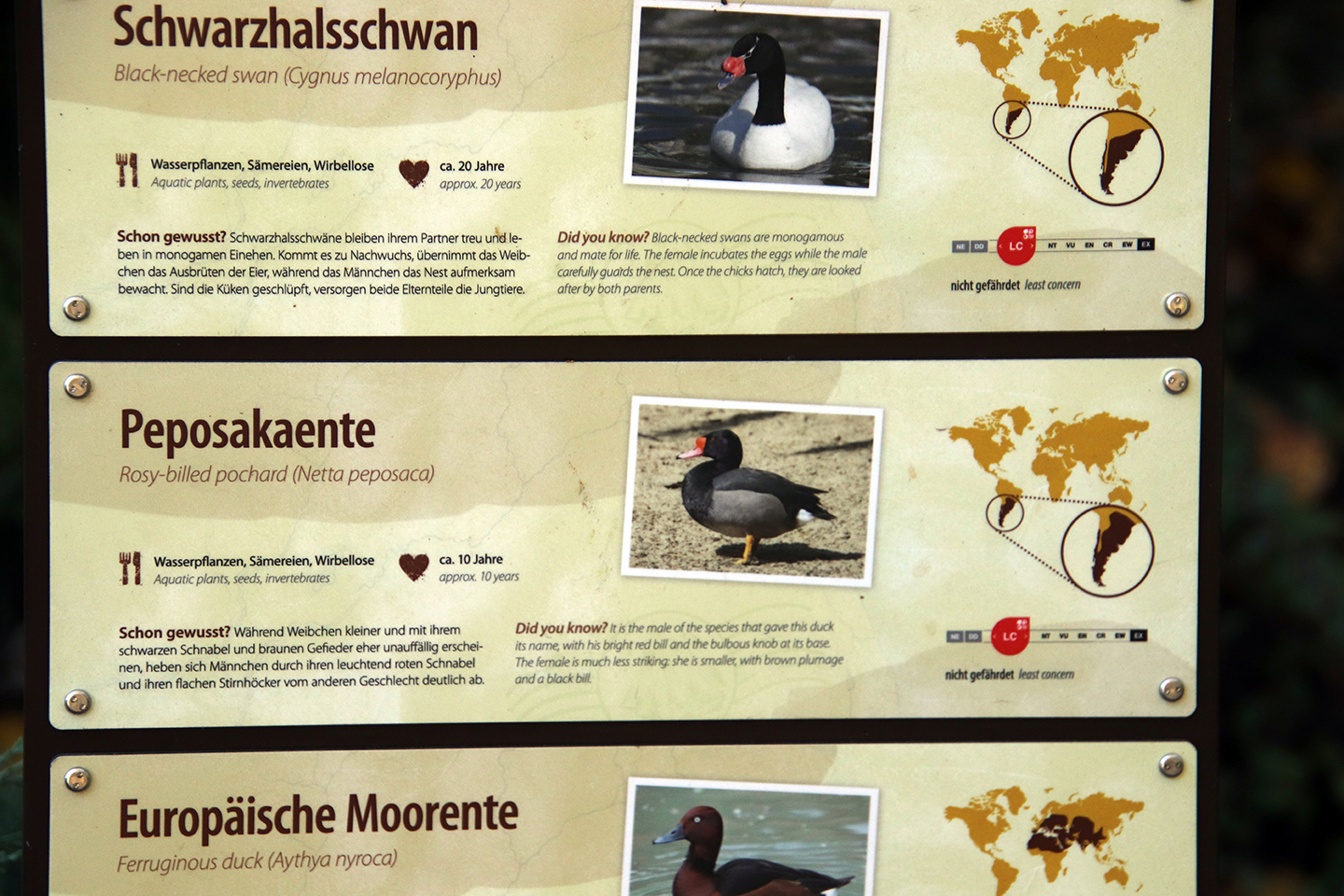 IMG_1423_1440x960