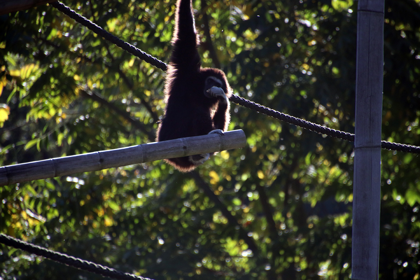 IMG_1569_1440x960