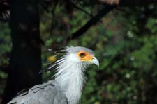 IMG_1202_1440x960