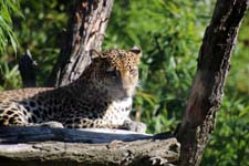 IMG_1234_1440x960