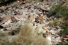 IMG_1280_1440x960