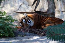 IMG_1298_1440x960