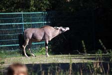 IMG_1309_1440x960
