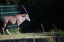 IMG_1310_1440x960