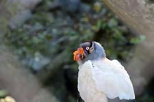 IMG_1324_1440x960