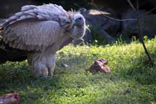 IMG_1332_1440x960