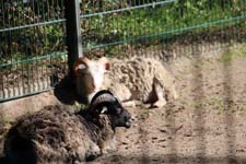 IMG_1405_1440x960
