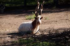 IMG_1406_1440x960