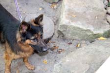 IMG_1429_1440x960