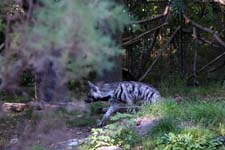 IMG_1435_1440x960