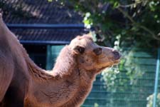 IMG_1454_1440x960