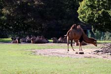 IMG_1457_1440x960