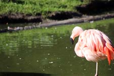 IMG_1469_1440x960