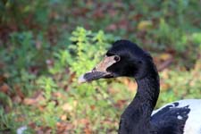 IMG_1505_1440x960