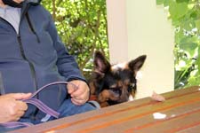 IMG_1533_1440x960