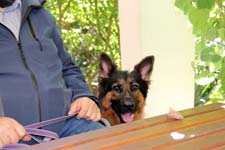 IMG_1534_1440x960