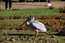 IMG_1577_1440x960