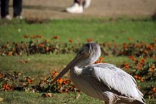 IMG_1578_1440x960