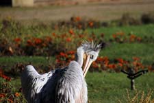 IMG_1580_1440x960