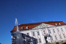 IMG_1608_1440x960