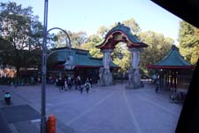 IMG_1905_1440x960