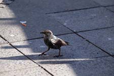 IMG_2124_1440x960
