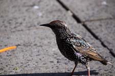 IMG_2126_1440x960