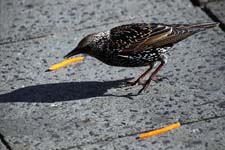 IMG_2127_1440x960