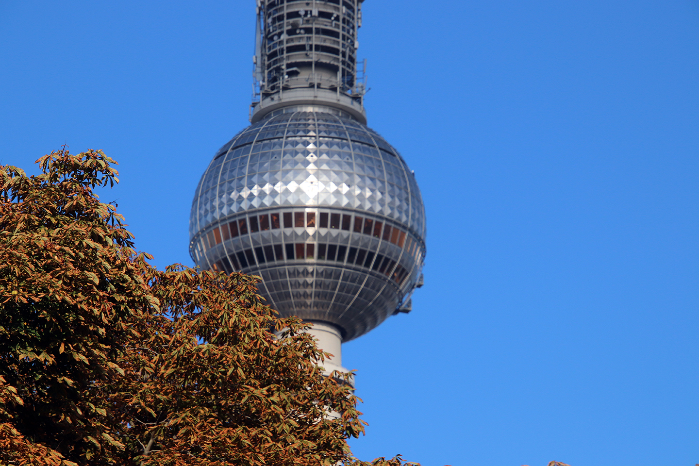 IMG_2205_1440x960
